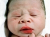 baby01.jpg