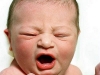 baby02.jpg