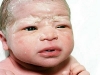 baby10.jpg