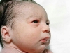 baby12.jpg