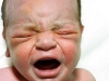 baby14.jpg