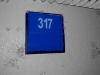 20052009288whitephoto.jpg