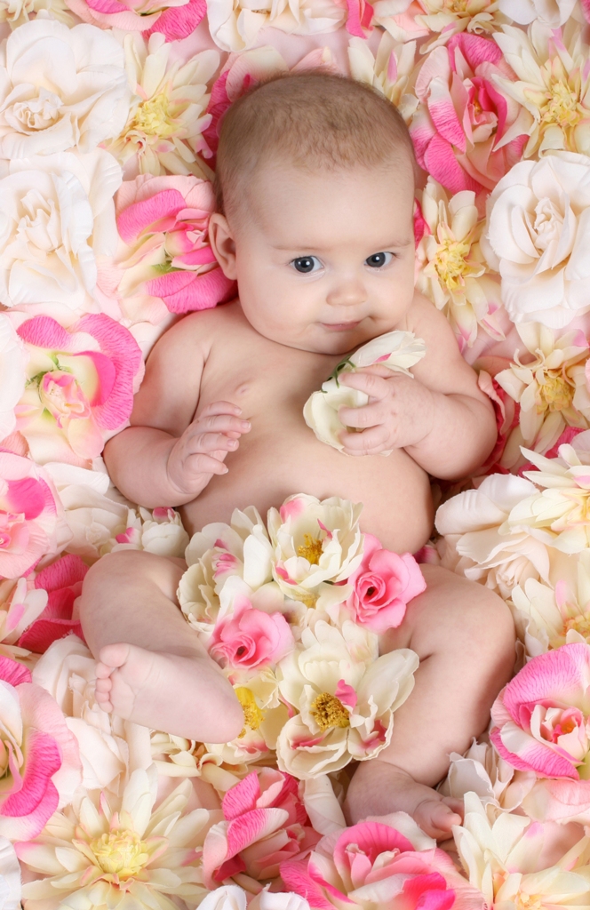 babyroses